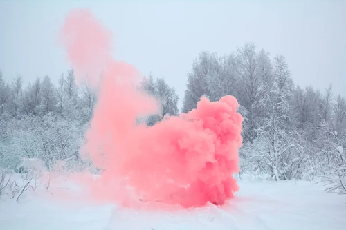 MARIA LAX, Pink Smoke, The Auction Collective
