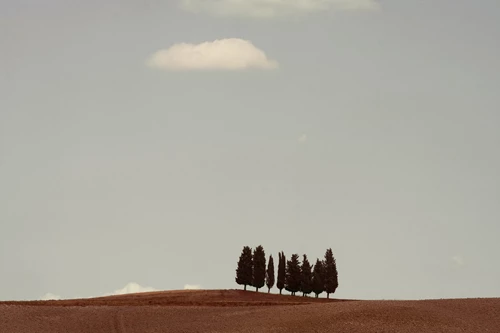 Alessandro Calvi, Italian Landscape 03, The Auction Collective