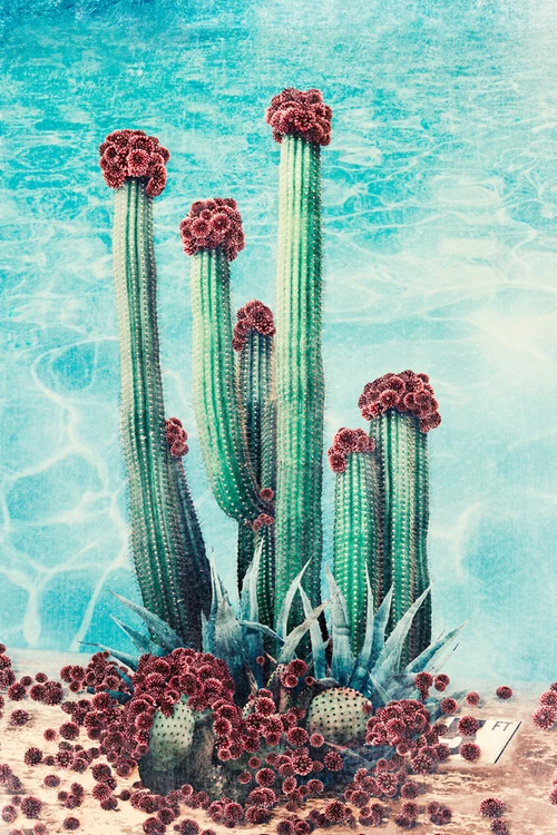 Nadia Attura, Cactus Pool, The Auction Collective