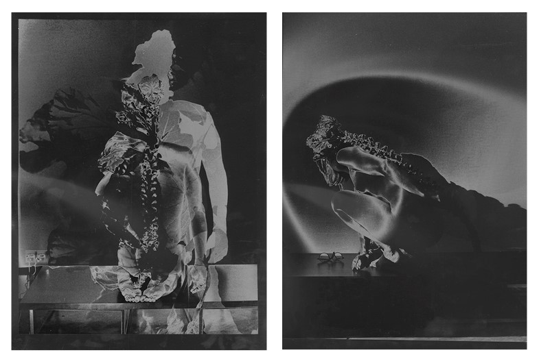 Abstract: Reality - Lot 70, Kathrin Hanga, Untitled (Solarisation) image