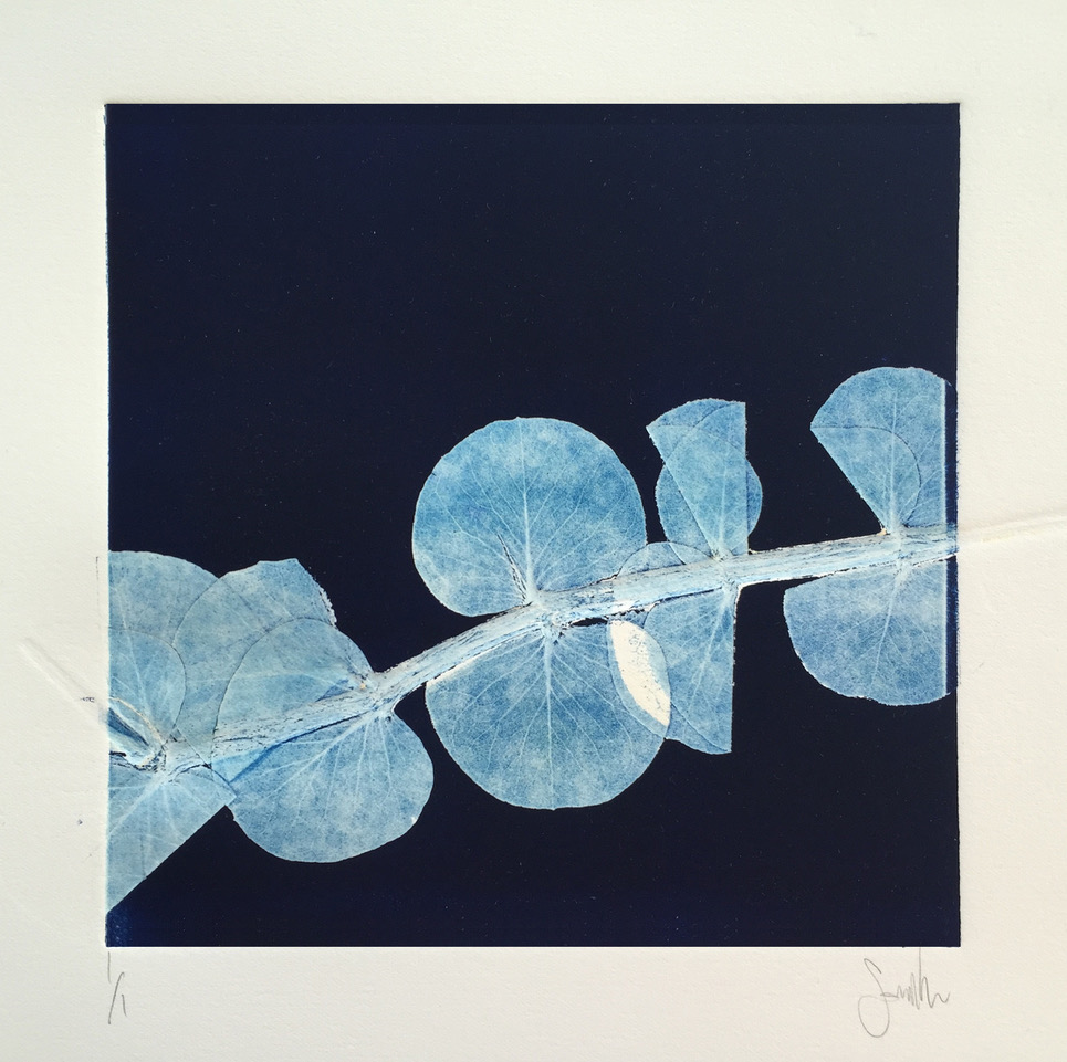 The Christmas Auction - Lot 63, Sophie Coe, Eucalyptus Series – Single Stem image
