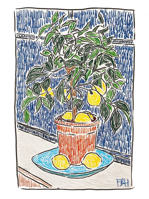 It’s just a (very) little lemon tree