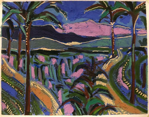 View of the rice fields, study 3