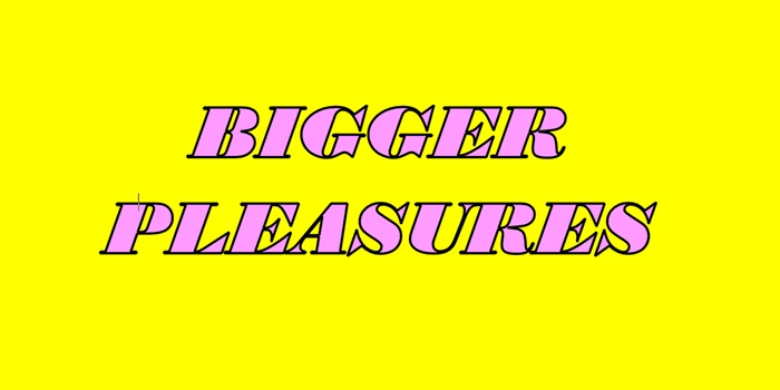 Bigger Pleasures: A Timed Auction
